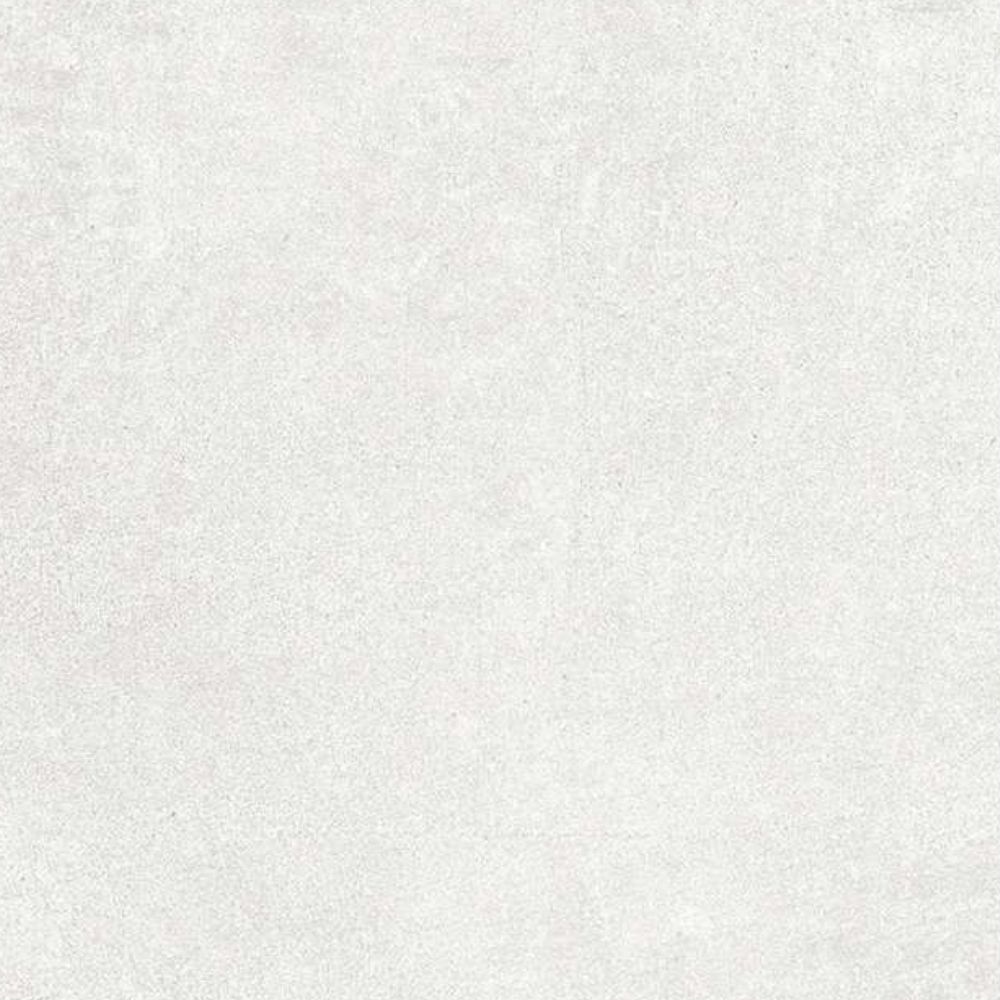 17202